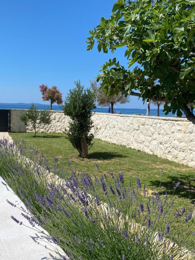 ויר Holiday House Laura מראה חיצוני תמונה
